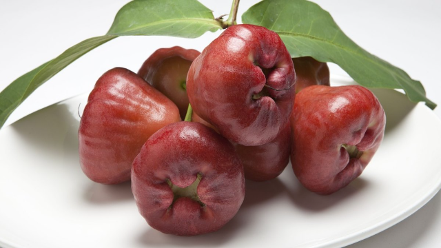 6 Manfaat Jambu Air untuk Kesehatan Tubuh